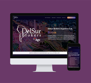 Delsur Brokers